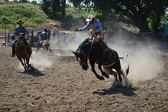 Cowboy riding a bucking horse in a dusty outdoor rodeo arena