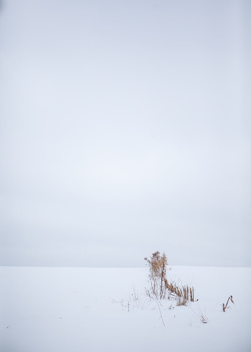 Minimalist Winter Landscape with Snow and Dry Grass