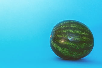 Whole Watermelon on Solid Blue Background