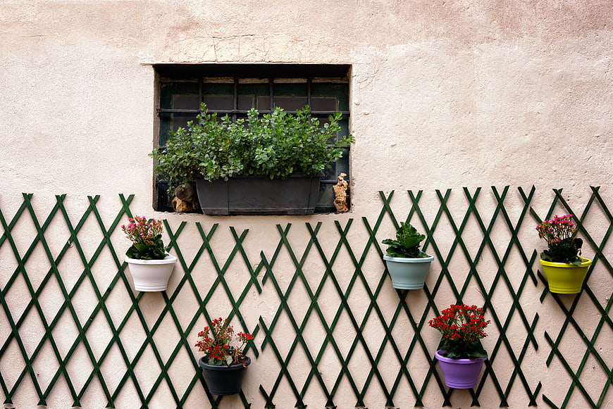 Colorful Flower Pots on Green Lattice Wall with Window
