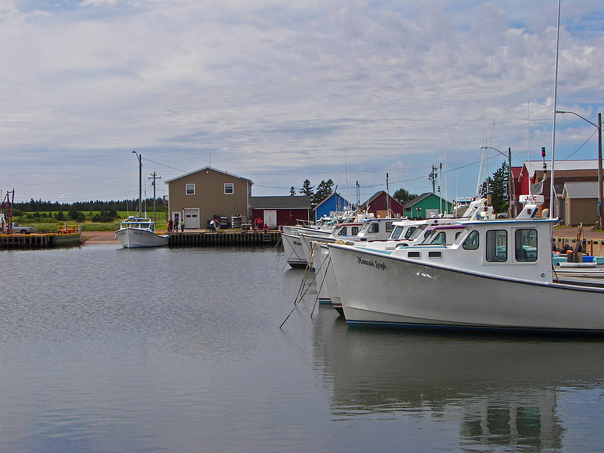 Fishing boats docked in a harbor with colorful buildings
