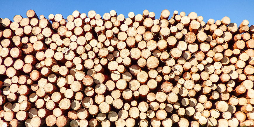 Stack of Cut Firewood Logs Against Blue Sky