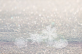 Silver Snowflakes on Glittering Background with Bokeh