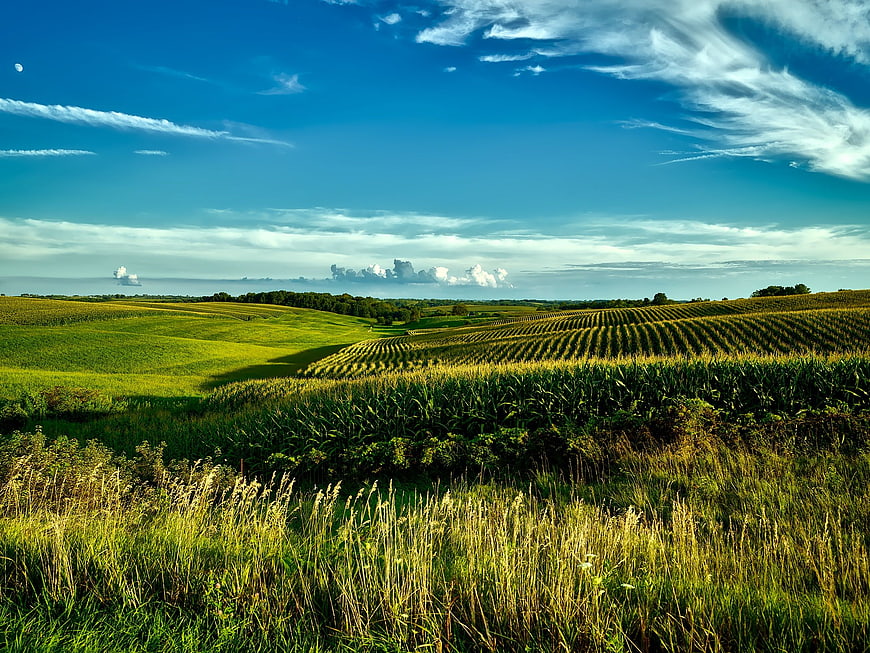Rolling Green Agricultural Fields Under Blue Sky