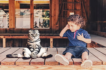Cute curly-haired boy and tabby cat sitting on wooden deck