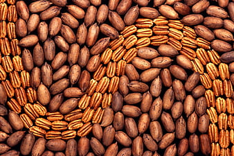 Flat lay pattern of pecan halves and whole nuts