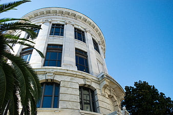Low angle view of white marble building with palm trees