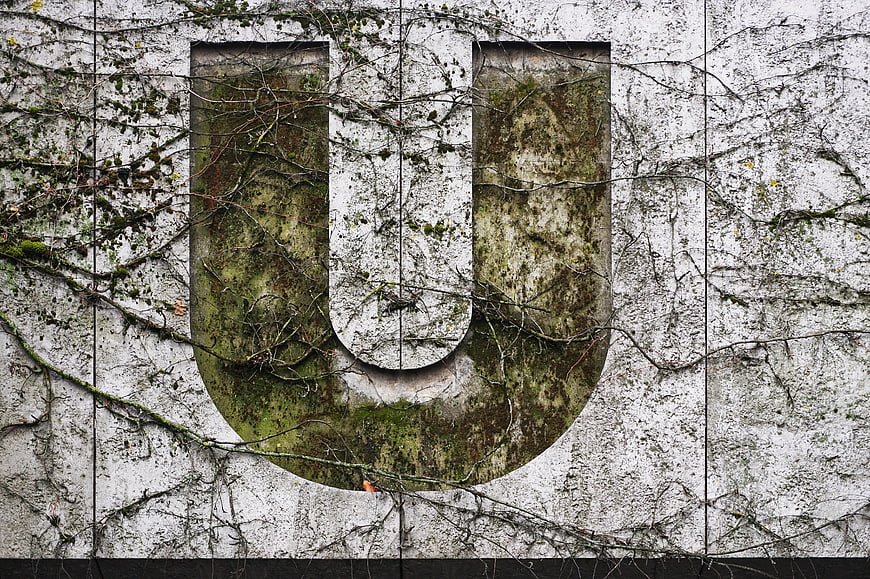 Weathered Letter U on Mossy Concrete Wall