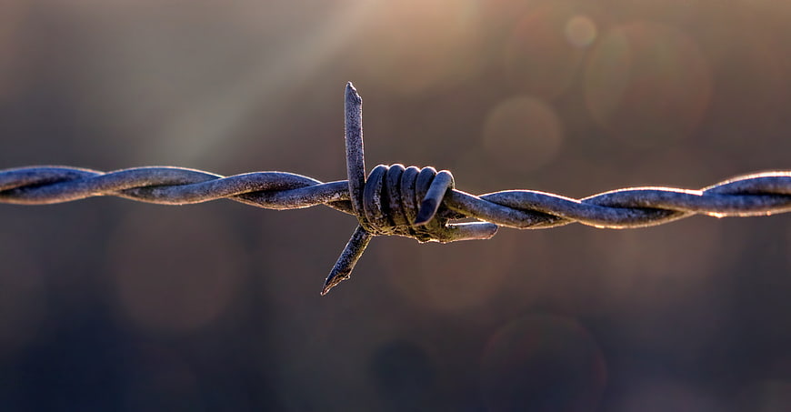 Close-up of rusty barbed wire fence in golden sunlight