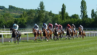 Horse race with jockeys on a grassy track