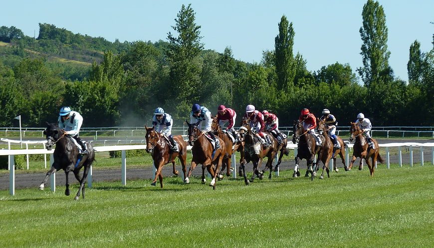 Horse race with jockeys on a grassy track