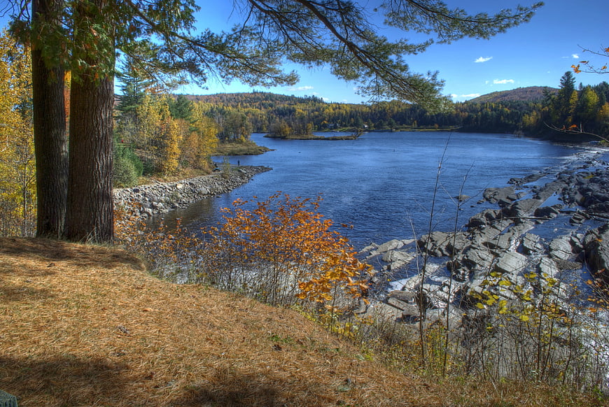 Scenic autumn river landscape with rocky banks and pine trees