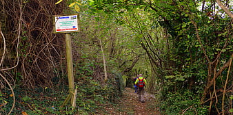 Hikers walking on trail in Lessinia Regional Natural Park Italy