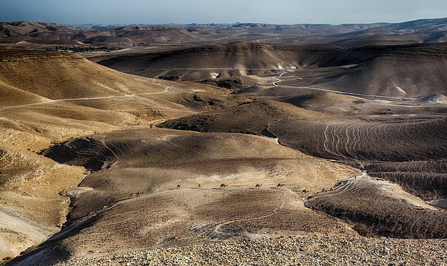 Camel caravan traversing arid desert landscape