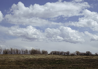 Dramatic Clouds Over Barren Field with Bare Trees
