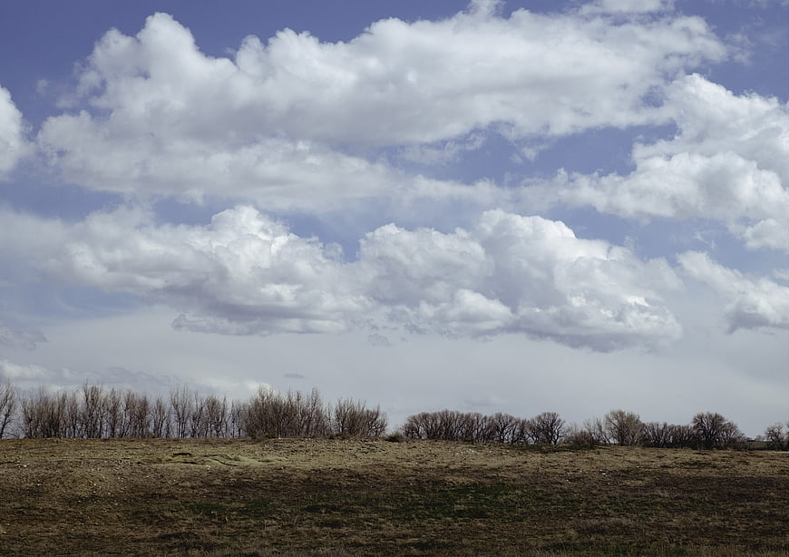 Dramatic Clouds Over Barren Field with Bare Trees