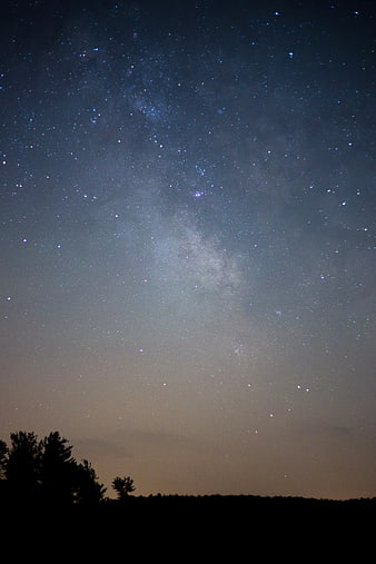 Milky Way Galaxy Over Silhouetted Forest at Night