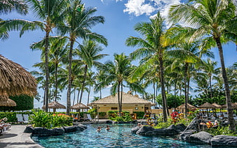 Tropical Resort Pool with Palm Trees and Thatched Cabanas