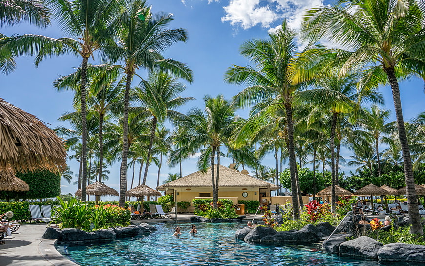 Tropical Resort Pool with Palm Trees and Thatched Cabanas