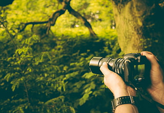 Photographer holding DSLR camera in lush green forest