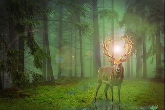 Majestic Stag With Golden Antlers In Misty Green Forest