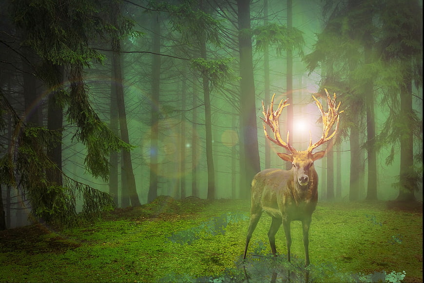 Majestic Stag With Golden Antlers In Misty Green Forest
