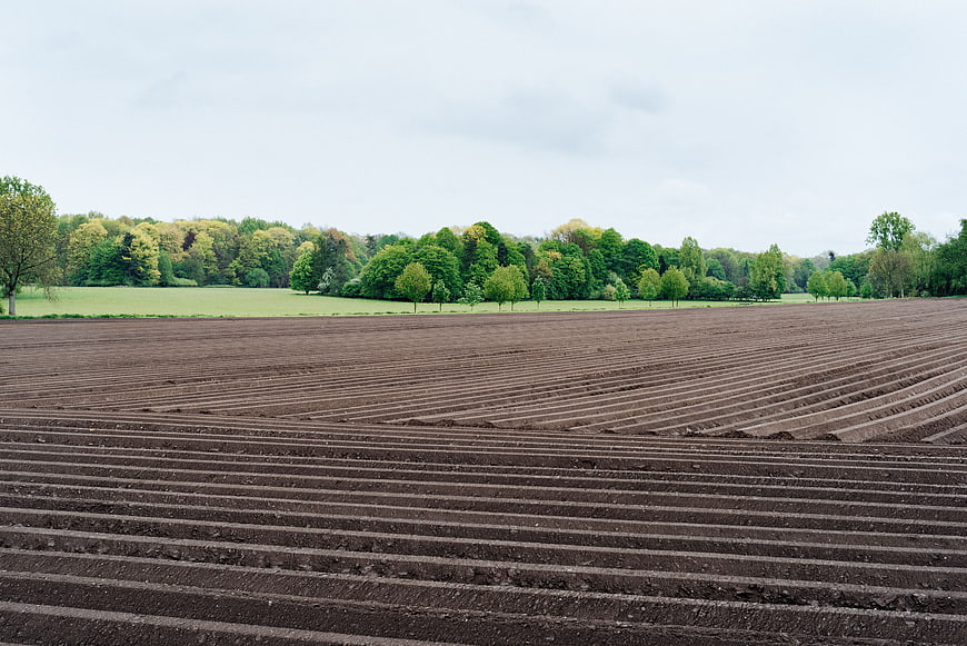 Plowed agricultural field with furrows and green forest background