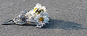 Ornate silver key and white daisies on textured gray asphalt surface