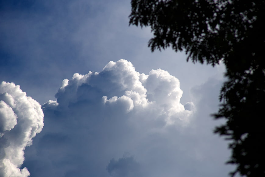 Dramatic Puffy White Clouds in Blue Sky with Tree Silhouette