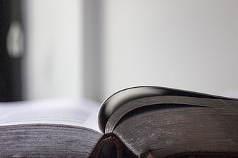 Close-up of Open Book Pages with White Background
