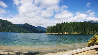 Scenic Lake Shore with Forested Peninsula and Mountains