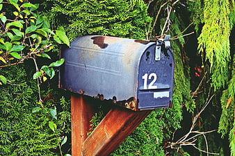 Weathered Blue Mailbox with Number 12 in Green Bushes