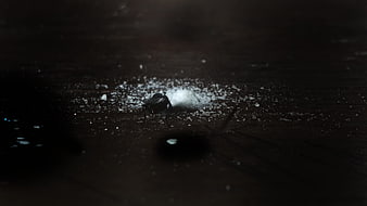 Macro shot of a fly on white sugar crystals dark background