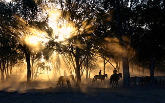 Cowboys Herding Horses Through Misty Forest at Sunrise