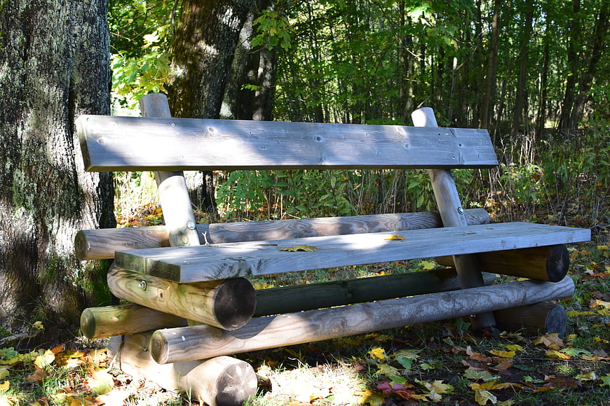 Rustic Wooden Park Bench in Autumn Forest