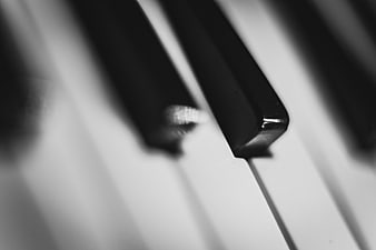 Close-up of piano keys in black and white