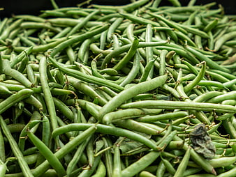 Fresh Green Beans Pile Close Up