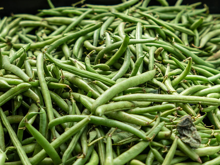 Fresh Green Beans Pile Close Up