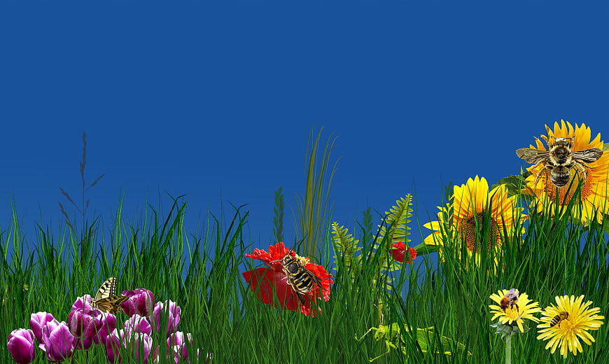 Colorful spring meadow with bees, butterflies, and flowers on blue background