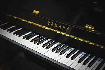 Close-up of Black Yamaha Piano Keys and Logo