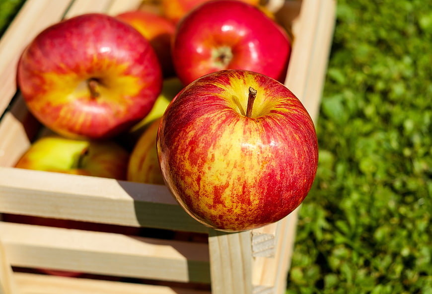 Fresh Red Apples in Wooden Crate on Green Grass