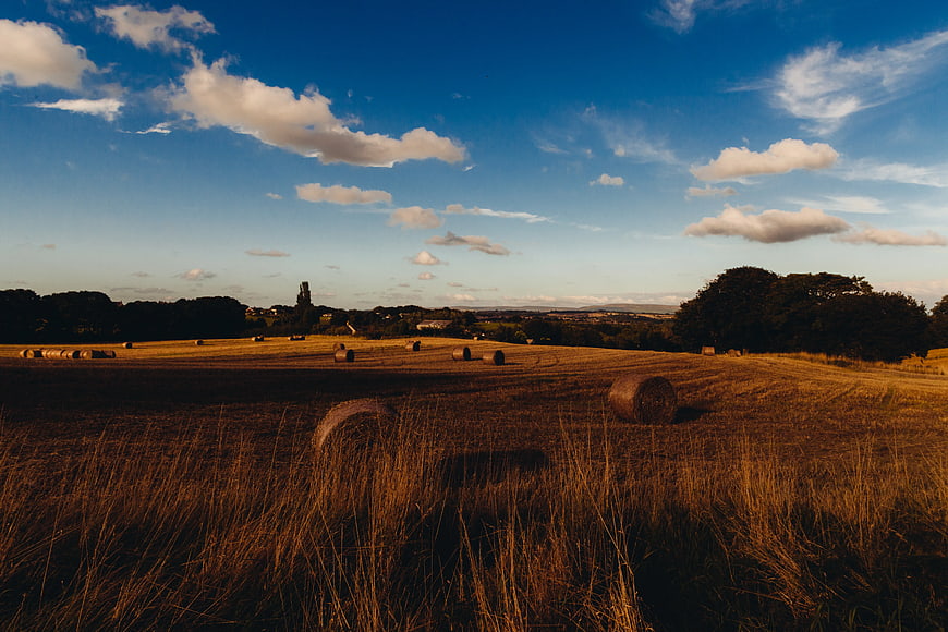 Golden Hay Bales in Rural Field at Sunset