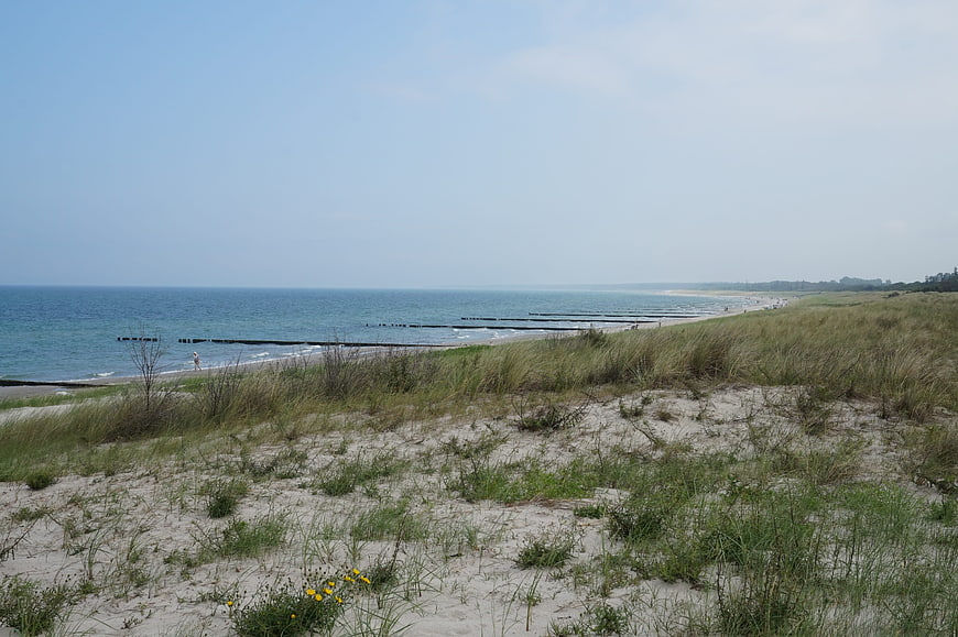 Sandy dunes with grass overlooking a calm blue sea coastline