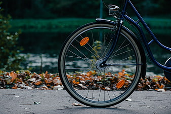 Close-up of blue bicycle wheel on autumn path