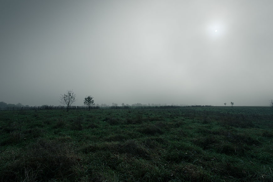 Misty Green Highland Landscape with Foggy Horizon