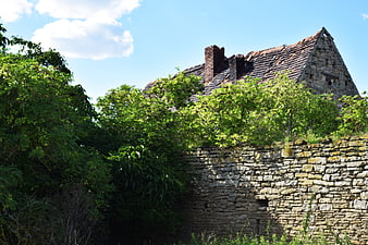 Abandoned stone house with overgrown vegetation and blue sky