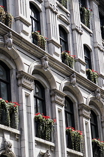 Ornate Stone Building Facade with Red Flowers