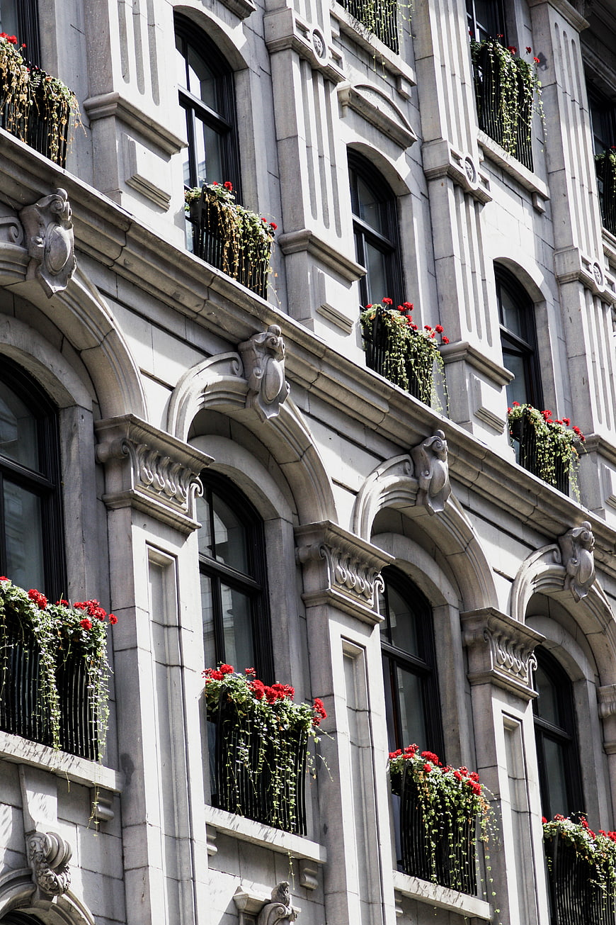 Ornate Stone Building Facade with Red Flowers