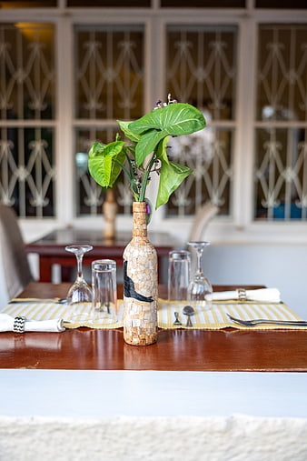 Rustic Cork Bottle Vase with Greenery on Dining Table