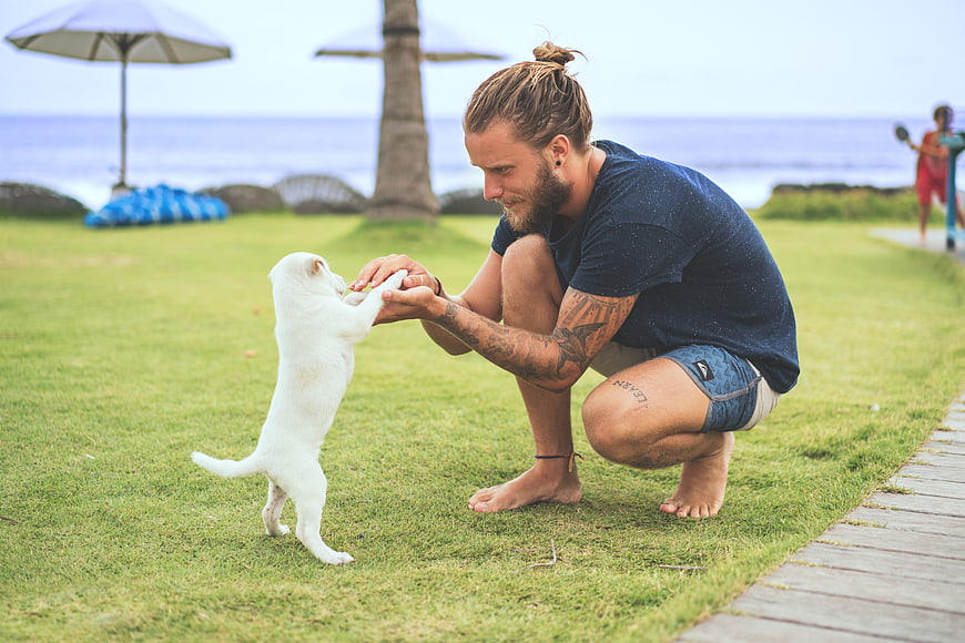Man playing with white puppy on grass near beach